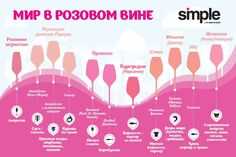 Как выбрать розовое вино и разобраться в его стилях. короткий анализ специалиста