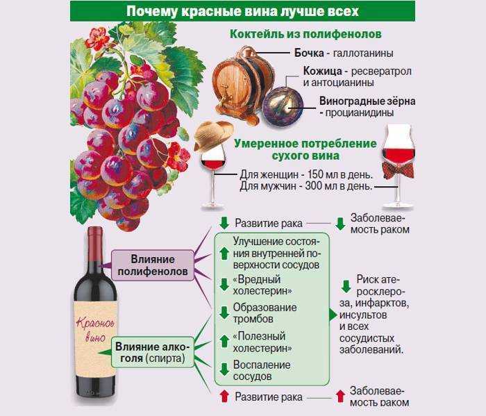 Какое вино полезней? о пользе и вреде вина.