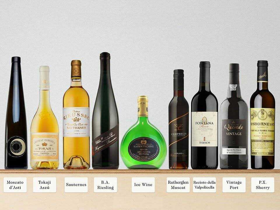 Топ-15 самых дорогих вин мира: от 500 000$ до 1000$