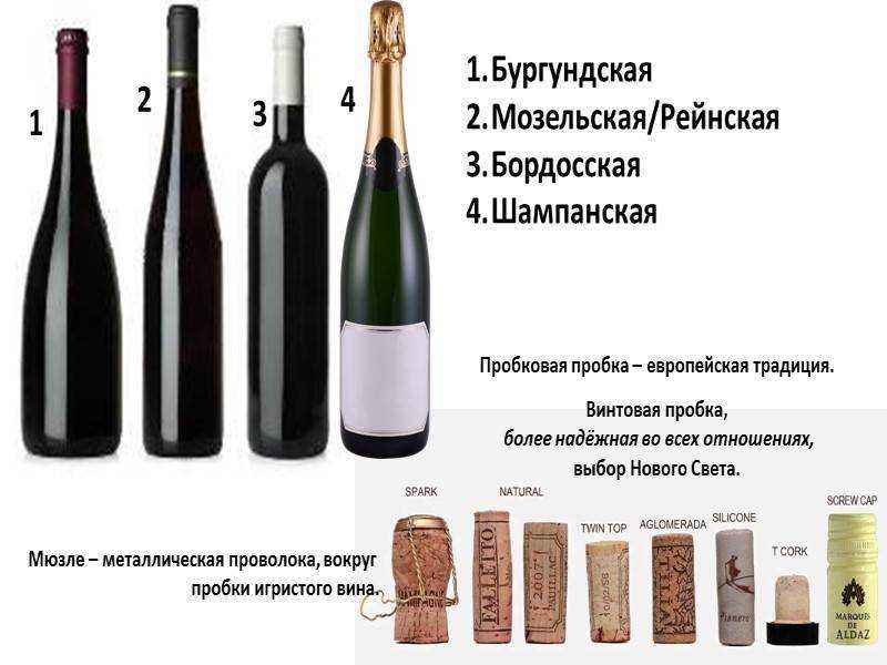 Лучшие вина бургундии: сорта и отзывы о них :: syl.ru