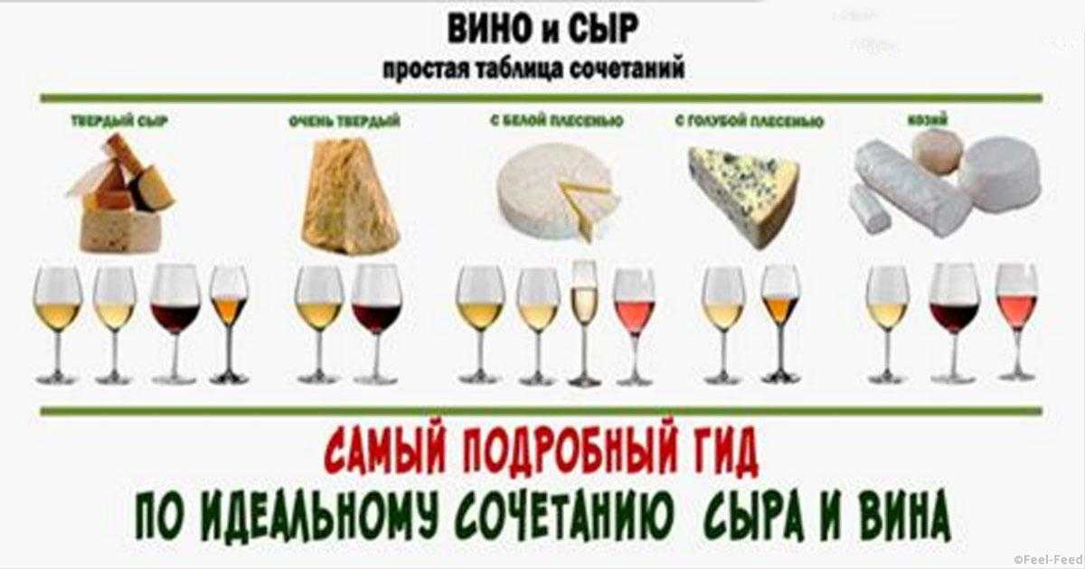 Вино и сыр. лучшие сочетания от профессионала в статье