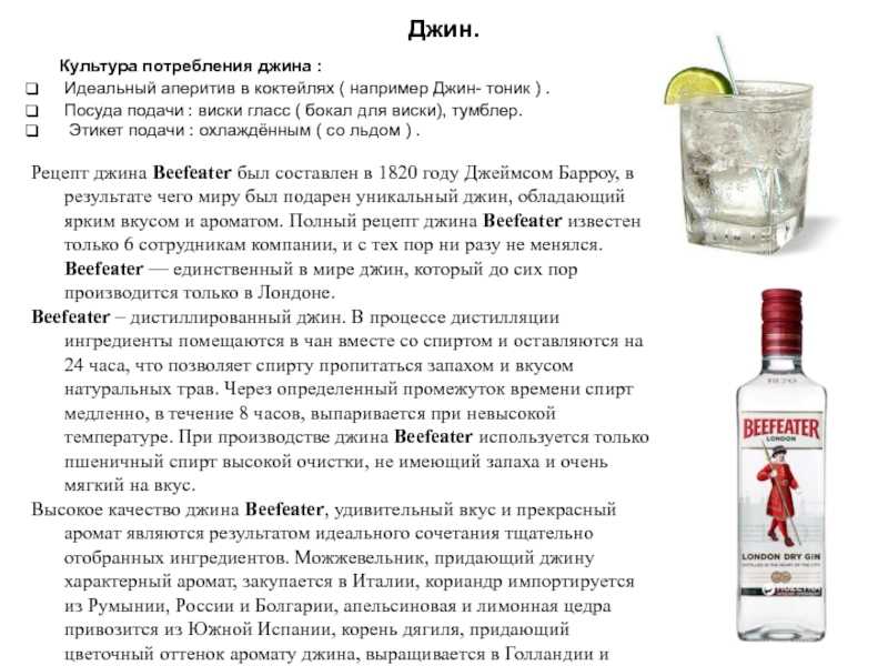Как пить джин, или вся гамма можжевелового вкуса :: syl.ru
