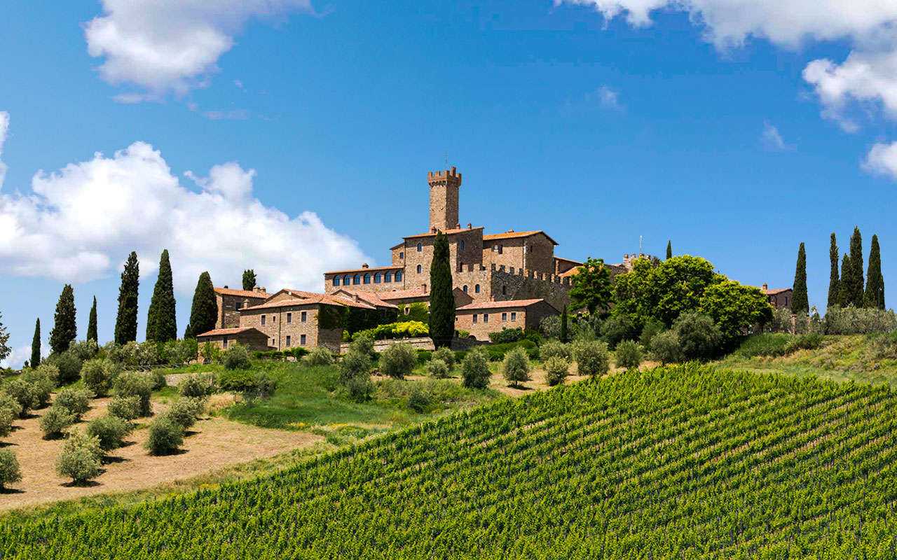 Винодельческие фермы тосканы: отдых у виноградной лозы | италия для италоманов