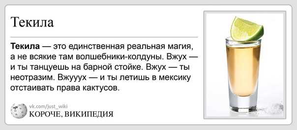 Как пить текилу: 11 способов употребления мексиканской водки