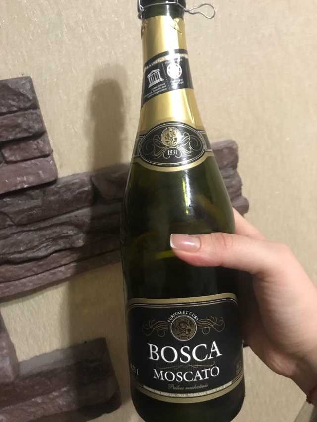 Шампанское bosca anniversary – гибрид пива и вина