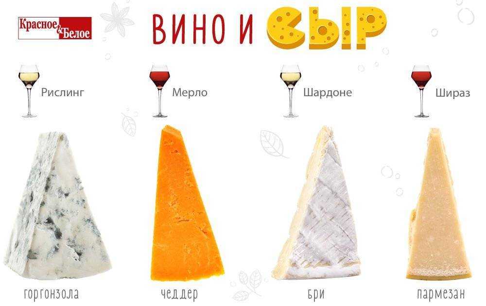 Вино и сыр. лучшие сочетания от профессионала в статье