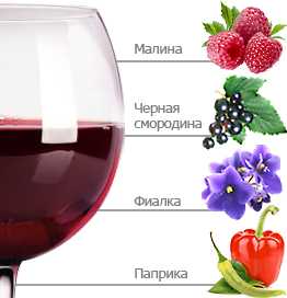 ᐉ сорт винограда кариньян - roza-zanoza.ru