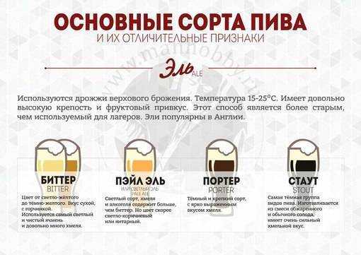 🍺рейтинг лучшего пива на российском рынке на 2022 год