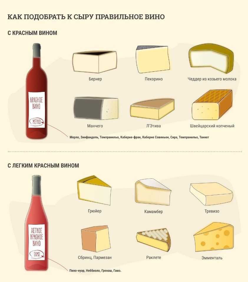 Сочетание вина и сыра: какие вина нужно сочетать с какими сырами