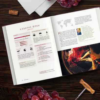 Основы производства тихих красных и белых вин