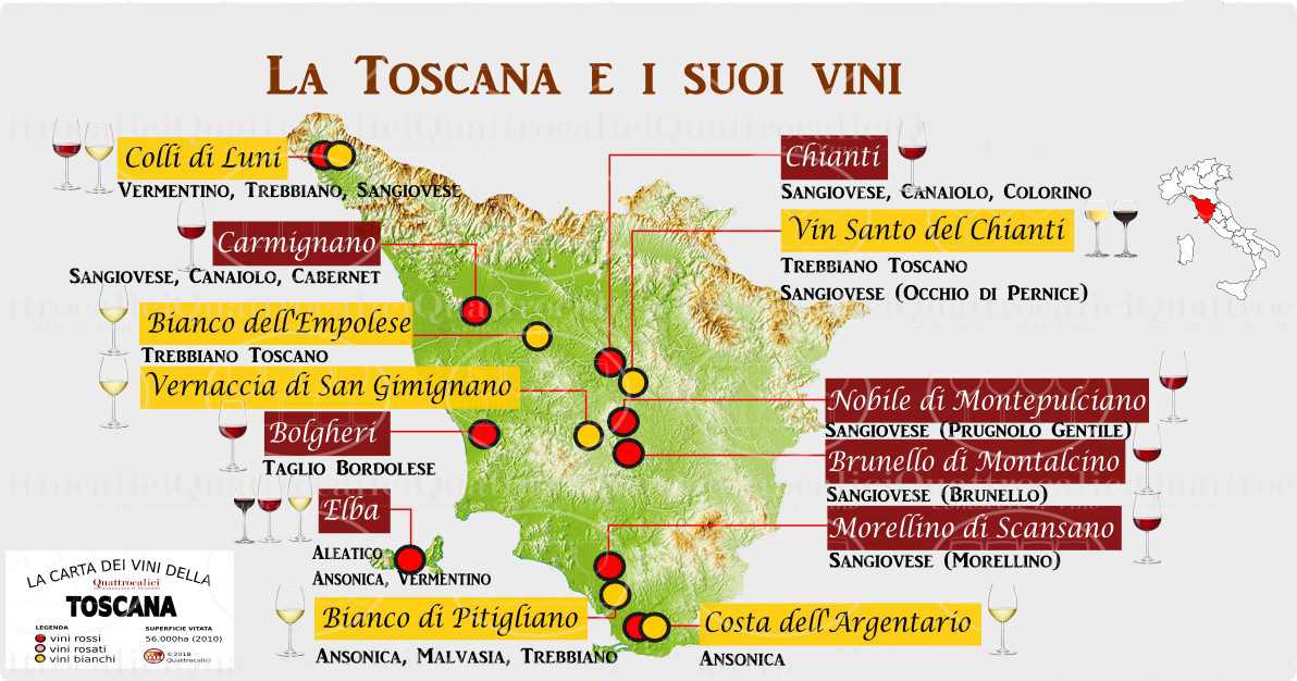 Вина тосканы. итальянское вино