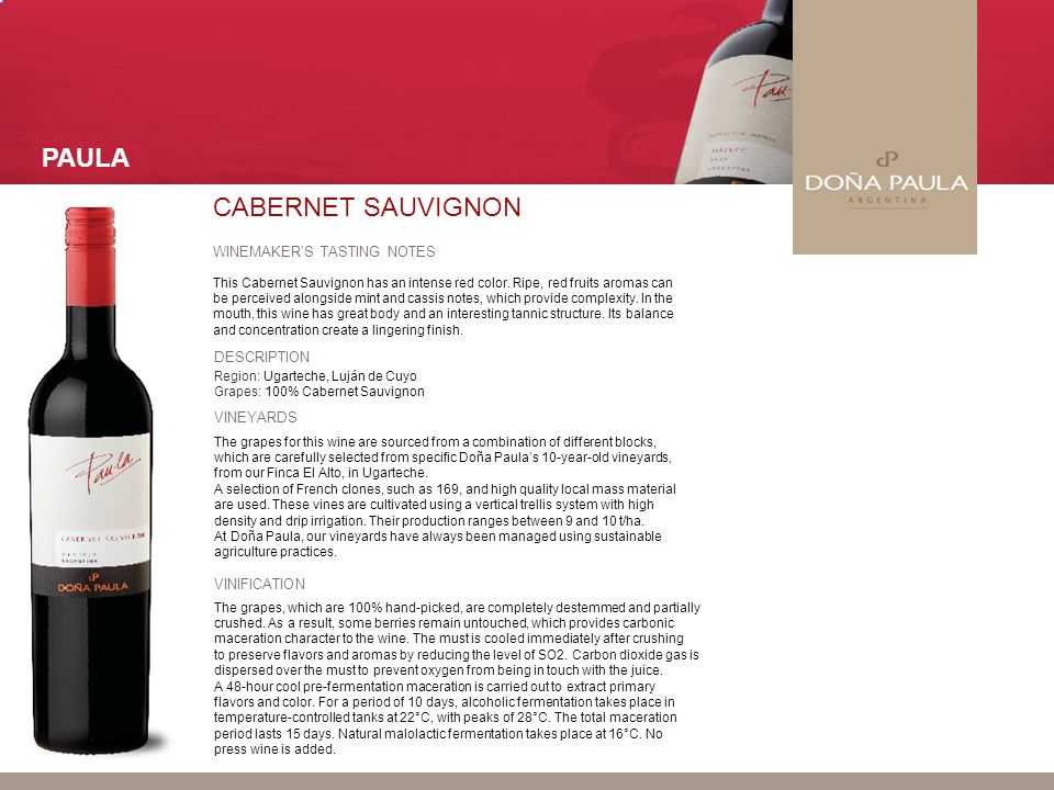 Каберне совиньон (cabernet sauvignon): описание, технология изготовления, виды и правила употребления всемирно известного красного сухого вина