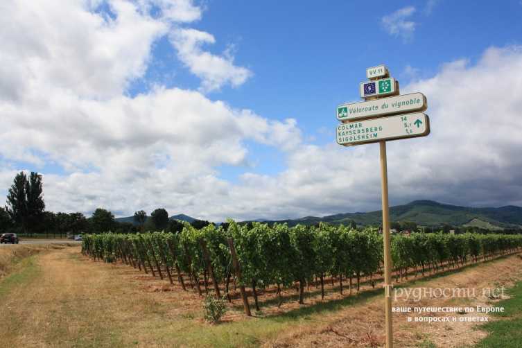 Вина эльзаса: регион виноделия франции, красное, белое, игристое, что посмотреть