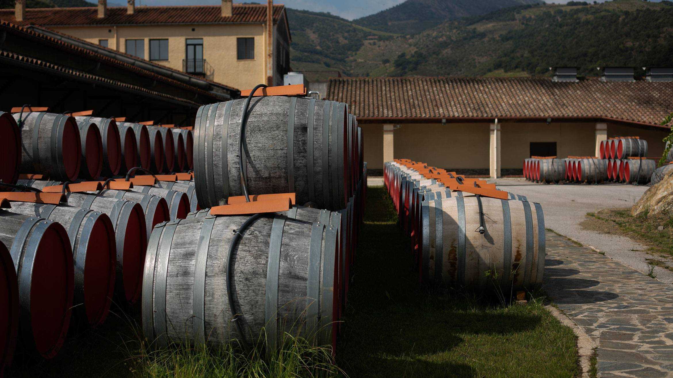 10 лучших виноделен мира, которые стоит посетить - винолюб