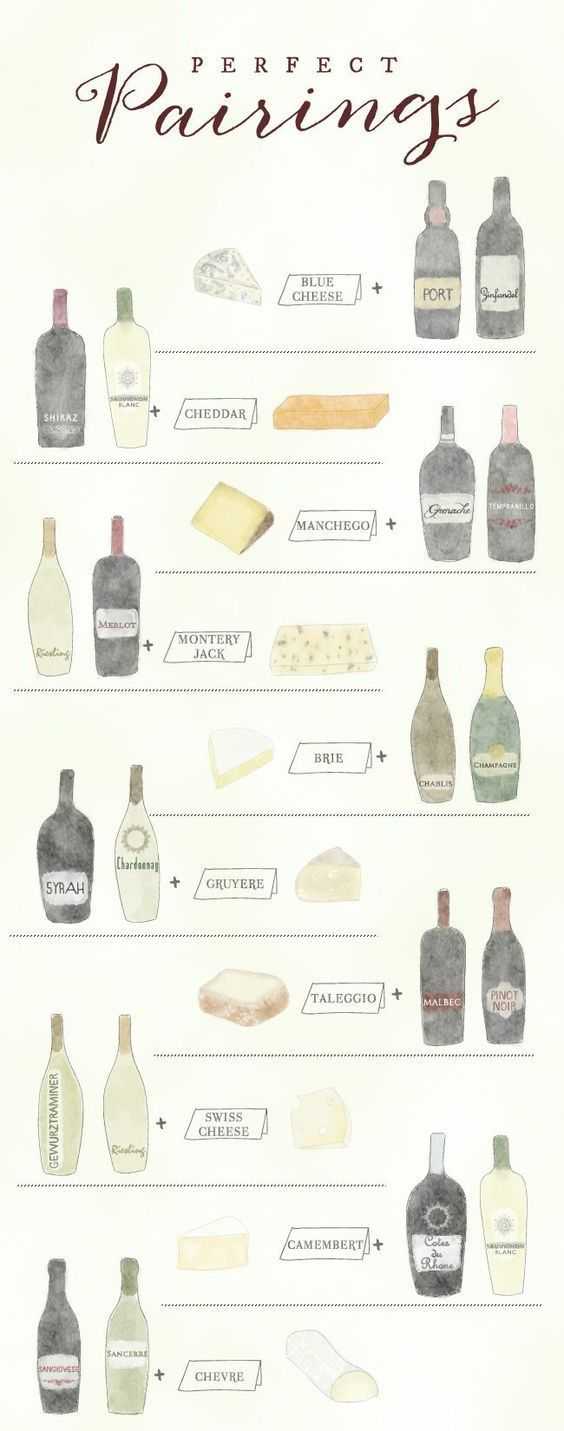 Какое вино пьют с сыром