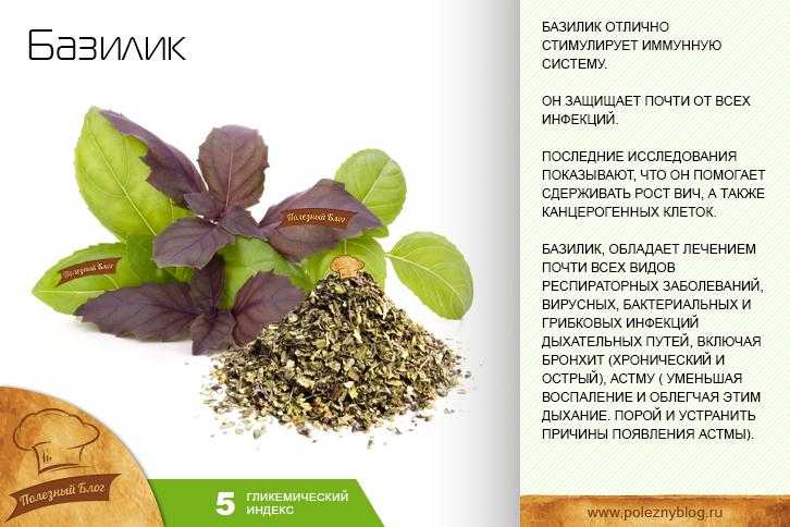16 рецептов мохито: пошаговые инструкции для чайников