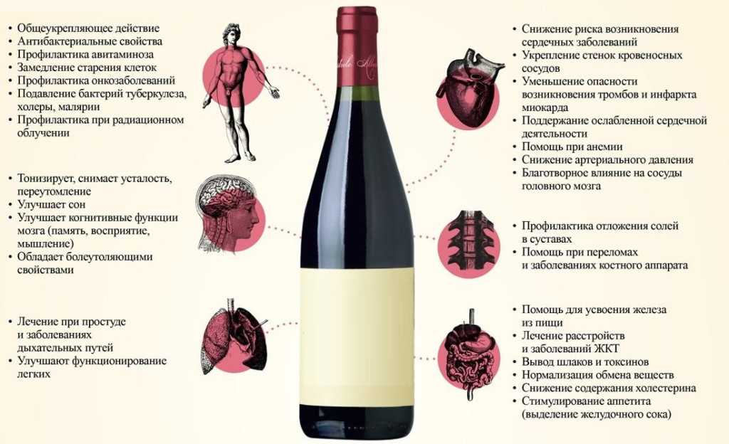 Какие вина относятся к тихим | wine expertise