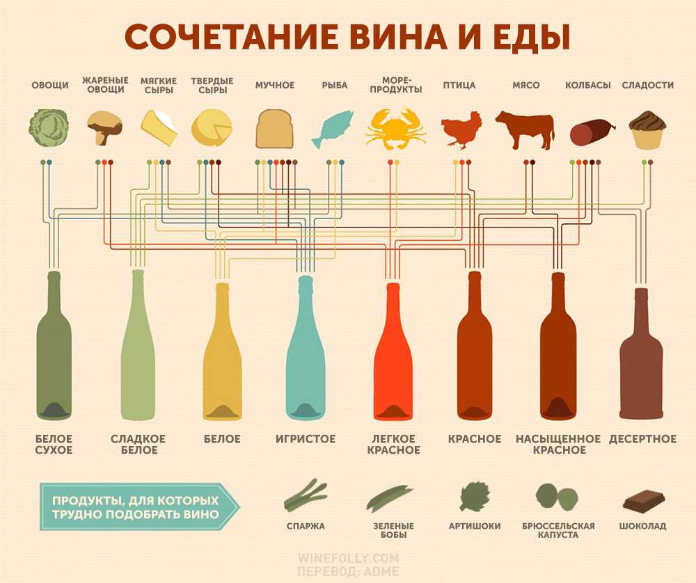 Классификация вин по категориям, как подавать вино на стол