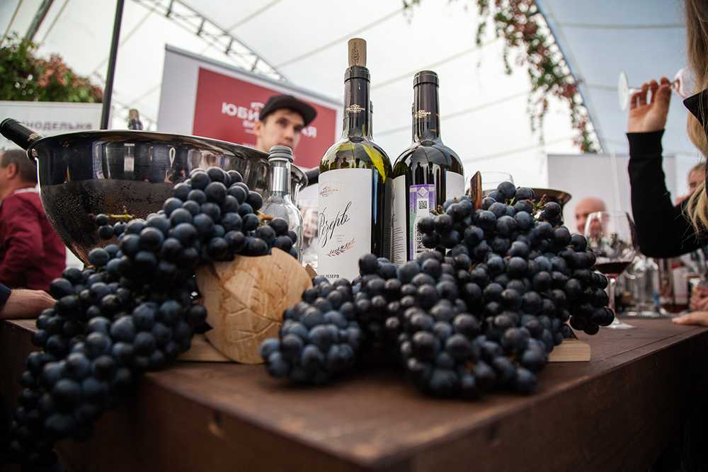 Виноделие во франции - основные этапы работ винодела при изготовлении вин