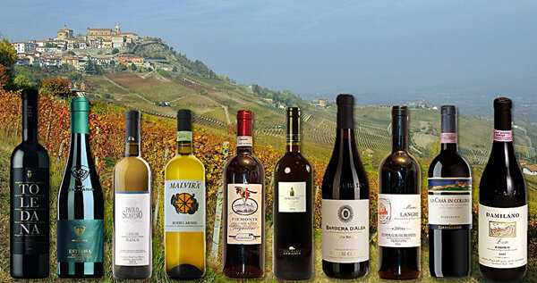Вино barolo: история, обзор видов, как и с чем пить + как отличить подделку