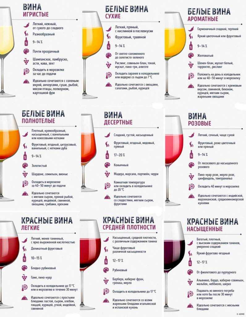 Виды вина — классификация и разновидности