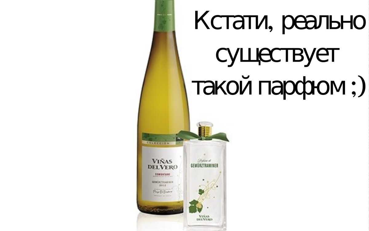 Вина болгарии: история, особенности, классификация, лучшие вина
