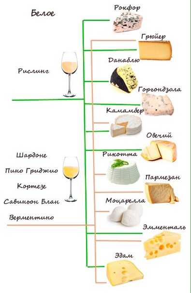 Как правильно выбрать закуску к разным винам: мясная, сырная, фрукты