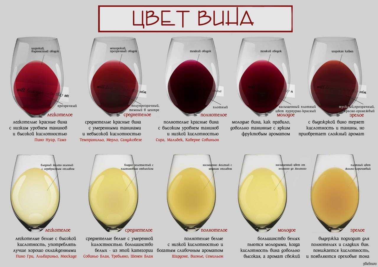 Крепленые вина: виды и особенности
