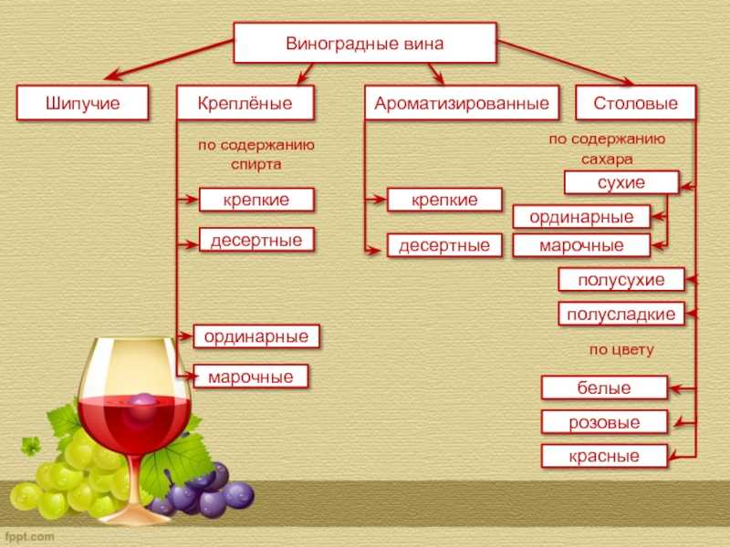 Классификация вин по категориям, как подавать вино на стол