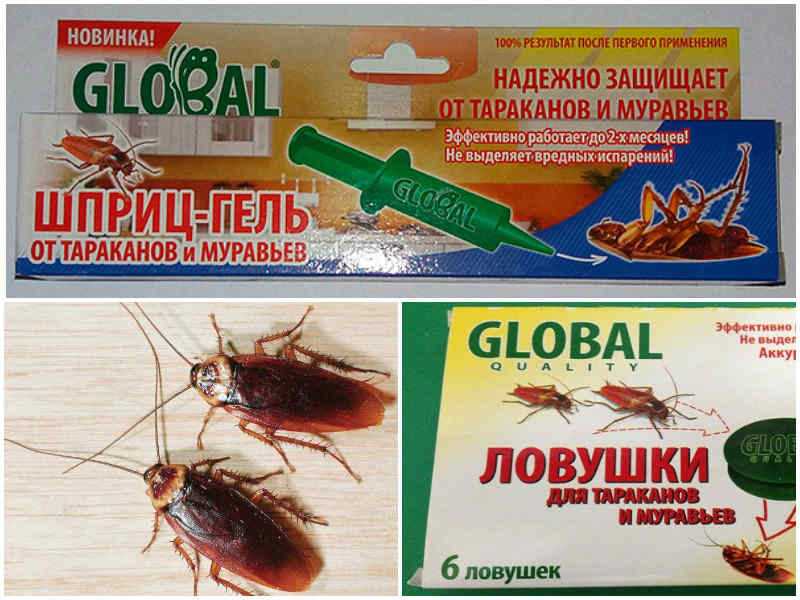 Что больше всего любят тараканы: 5 продуктов, которые привлекают насекомых