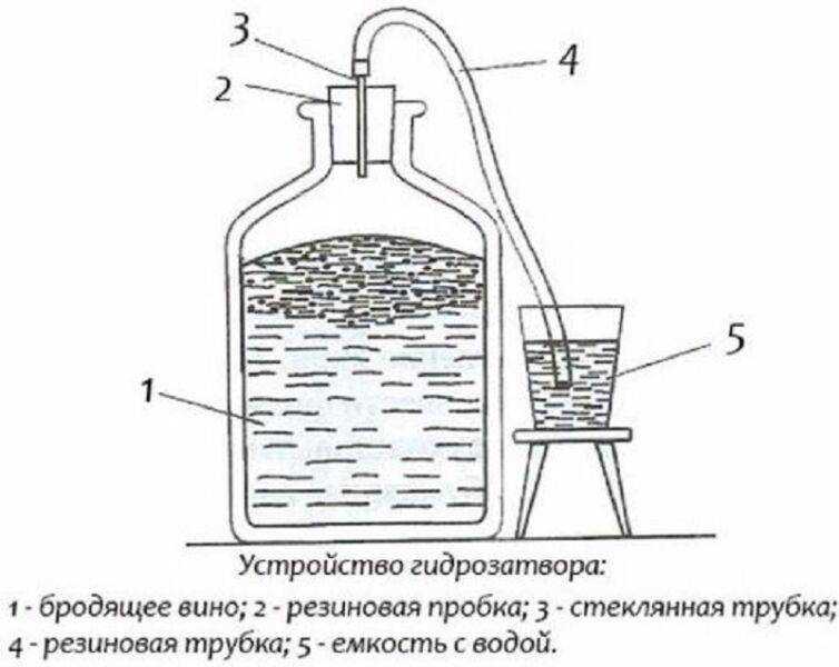 Вода из скважины пахнет сероводородом, что делать, как очистить и почему запах болота