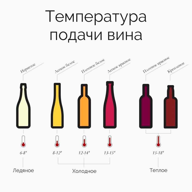 Типы и характеристика вин - техника дегустации вина