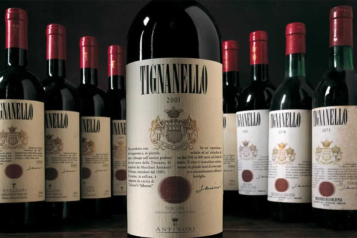 Вино sassicaia (tenuta san guido): о производителе, история и характеристика