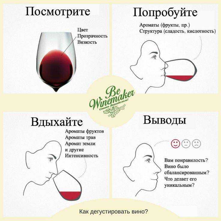 Правила и основные шаги дегустации вина