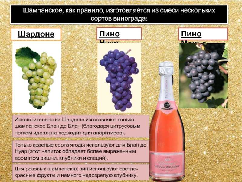 Вино вальполичелла: особенности, виды и культура пития