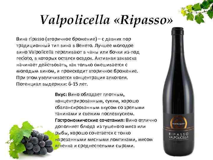Вальполичелла: amarone или ripasso? | italotrip