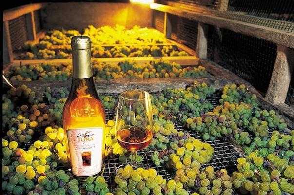 Французские вина: 10 лучших винодельческих регионов