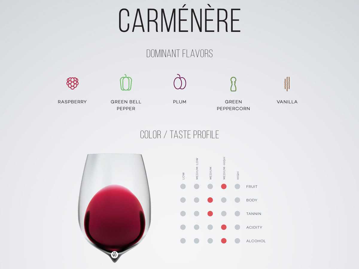 Вино карменере (carmenere): описание, отзывы и стоимость