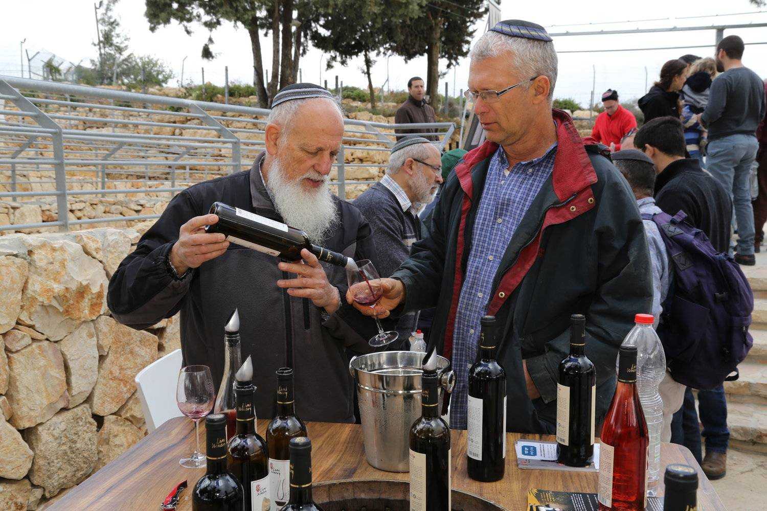 Кошерное вино: что это значит, история появления, стоимость напитка для праведных иудеев