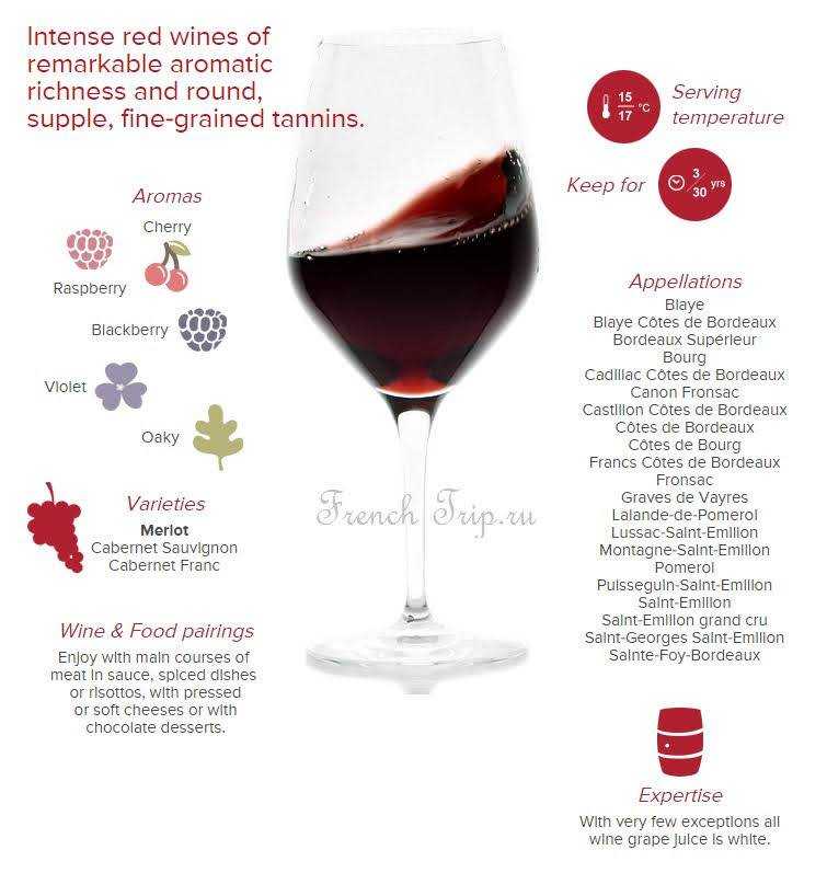 Вина бордо — винодельческий регион франции