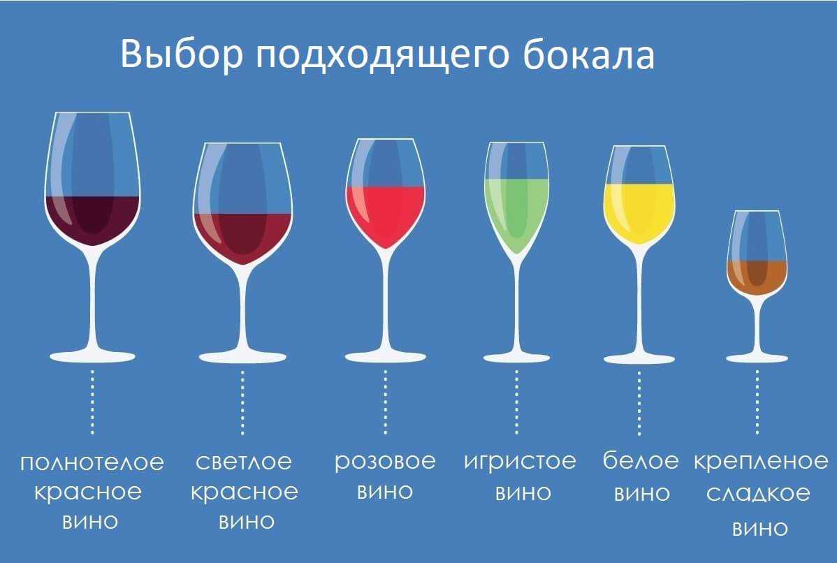 Чем отличается столовое вино: главные отличия, разница и технология производства | я люблю вино