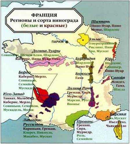 Вина франции - подробно об их классификации, названиях и известных французских шедеврах виноделия - на сайте наливай-ка!