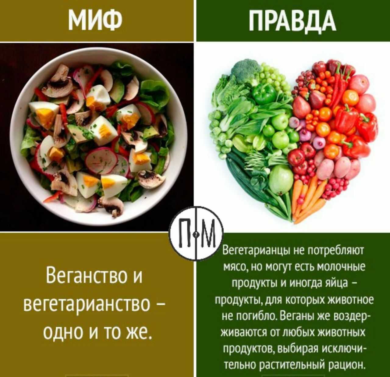 Вегетарианец и веган: отличия в питании и образе жизни, таблица