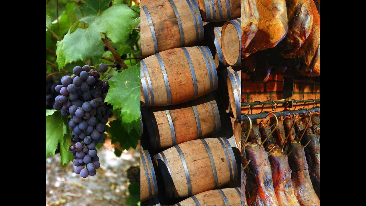 Дегустация вина сомелье: нюансы профессии и культура потребления напитка