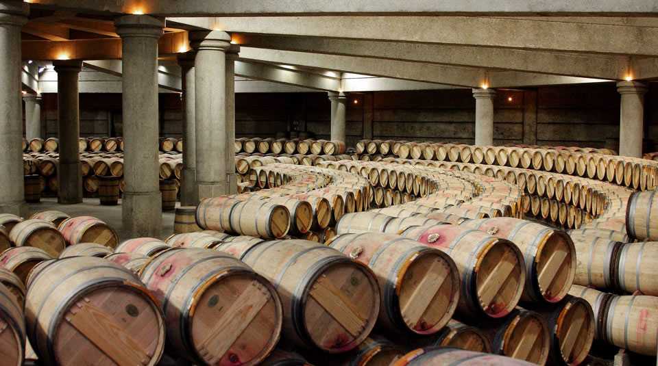 Вина пьемонта: регион виноделия италии, красное, белое, игристое, что посмотреть