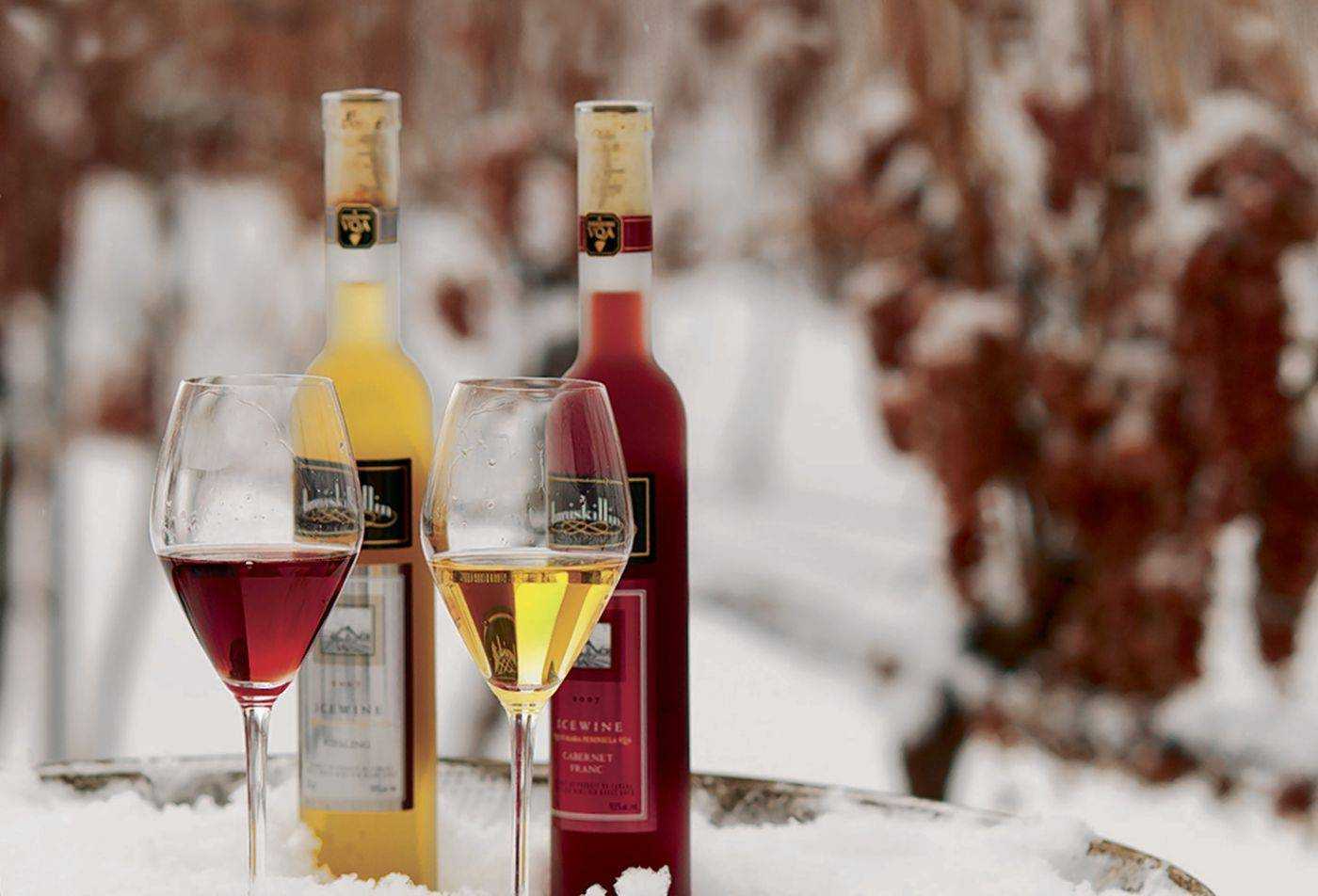 Ледяное вино (ice wine, eiswein): история, описание и вкусовые особенности напитка