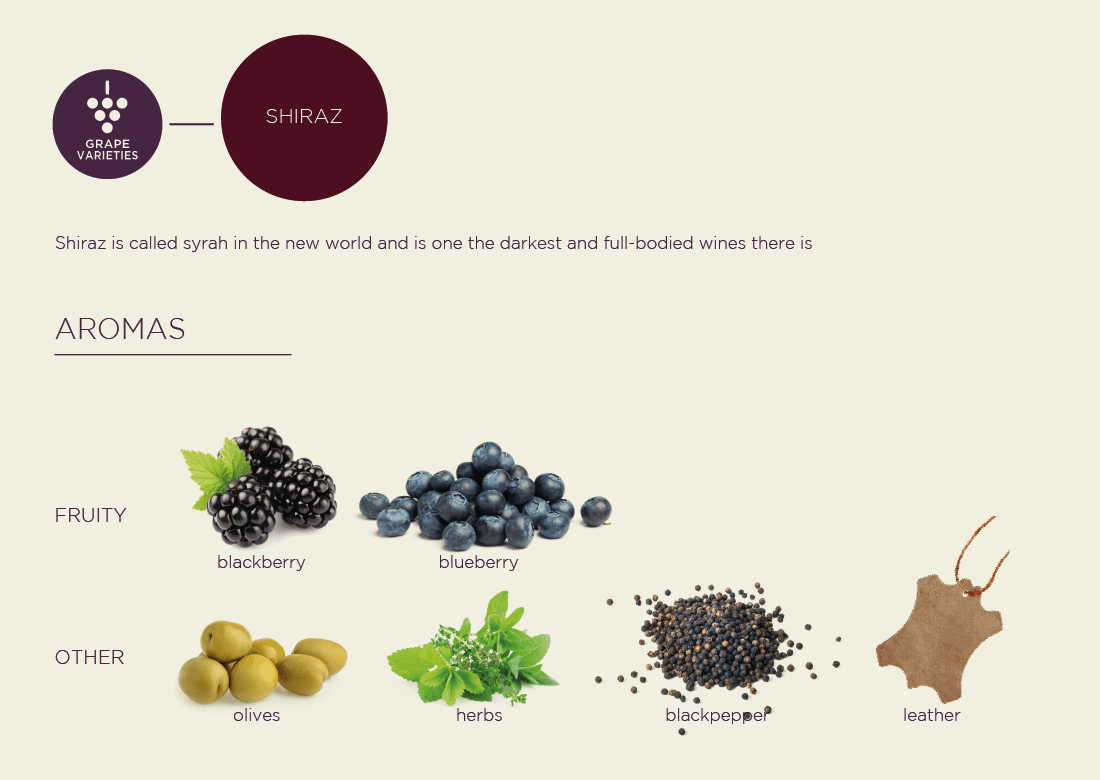 Виноград «сира»: классический и непревзойдённый сорт