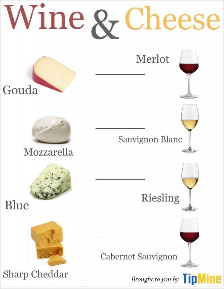 Сыр к красному вину: какой к какому напитку подходит лучше всего