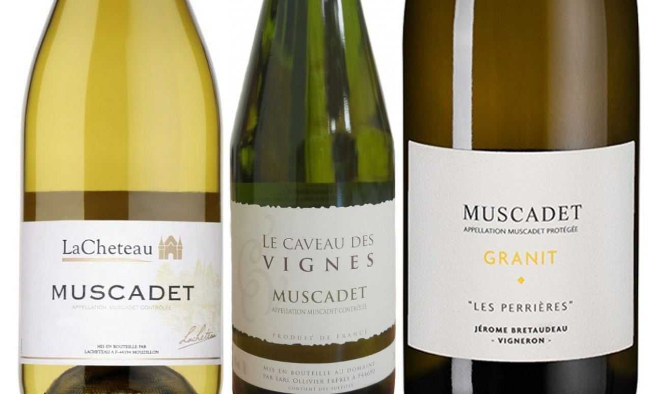 Белые вина атлантики с морепродуктами: альбариньо и мюскаде