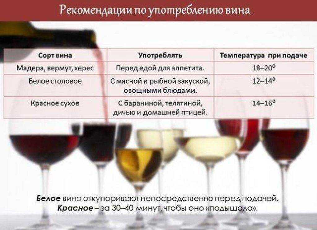 Многообразие вин: разновидности и характеристики